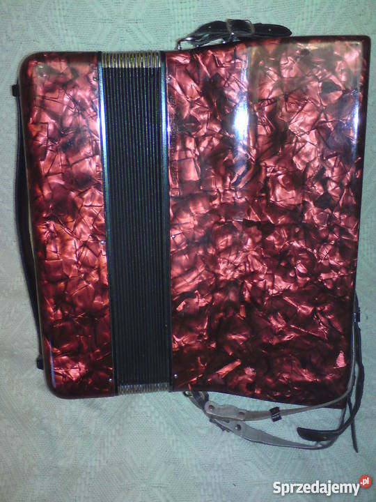 Akordeon Delicia Nieledew