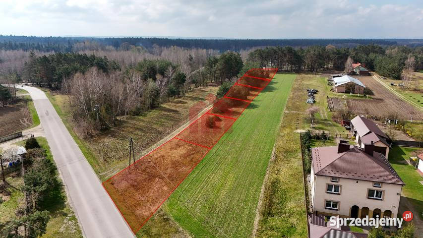 Grunt 347m2 Czarna Sędziszowska