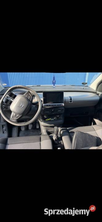 C4 cactus zamiana Poznań