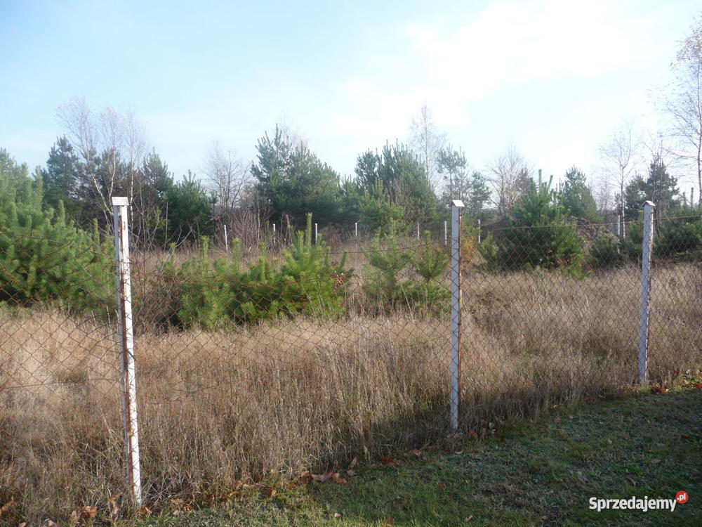 Działka Trzepizury gm Blachownia Blachownia