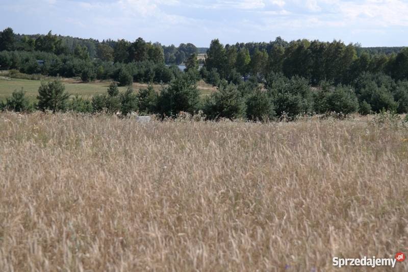 działkę rolną 51 ha pomorskie Koczała