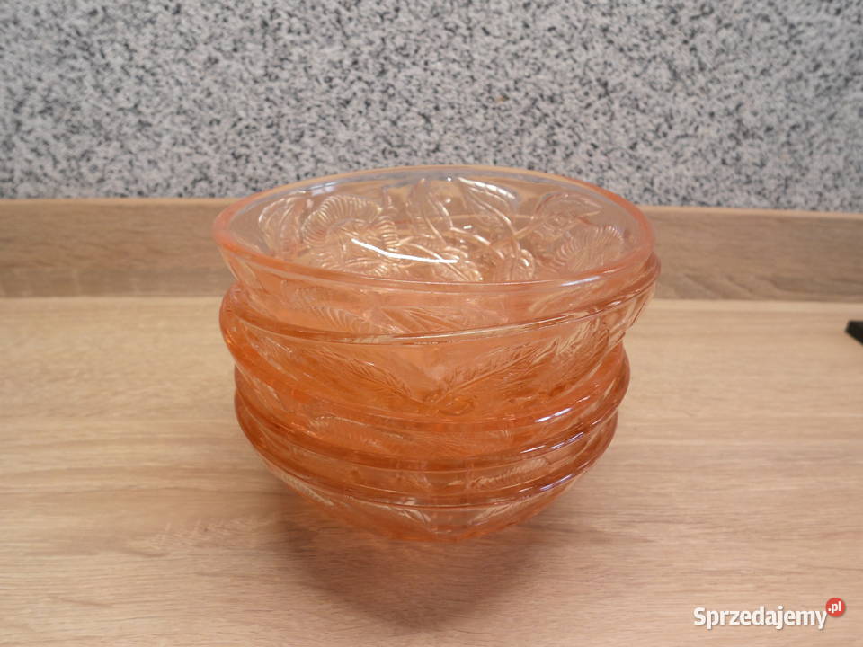 Szklane miseczkisalaterki łososiowe 5 Raszków