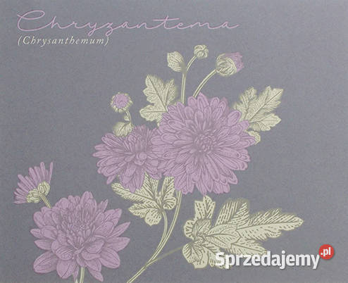 rośliny plakat A4 botaniczny plakat 21x30 kwiaty zachodniopomorskie Szczecin