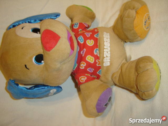 Piesek szczeniaczek uczniaczek Fisher polski małopolskie Nowy Sącz