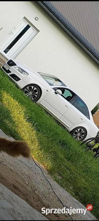 Seat exe Jabłonka sprzedam