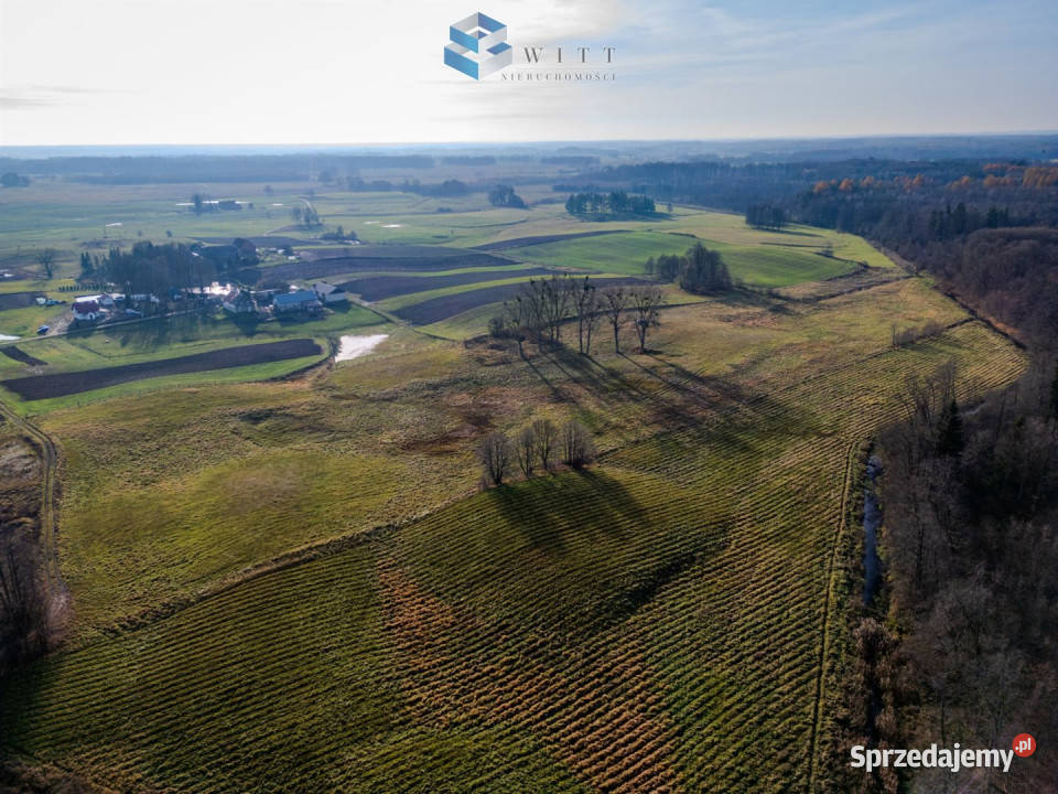 sprzedaży gruntu Jędrychówko 53400m2 budowlana sprzedam