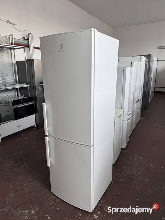 Lodówka Electrolux 185 A SPRAWNA Gwarancja Warszawa sprzedam
