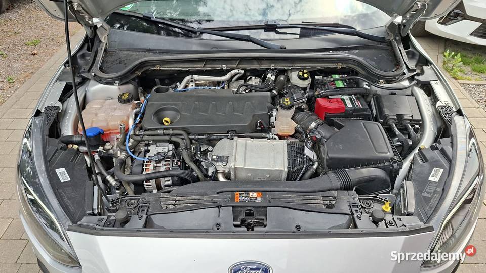 Ford Focus 20 EcoBlue STartStoppSystem TITANIUM diesel Goczałkowice-Zdrój