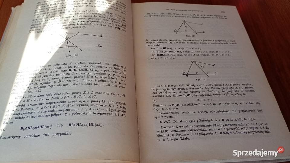 Podstawy geometrii Karol Borsuk Wanda Szmielew