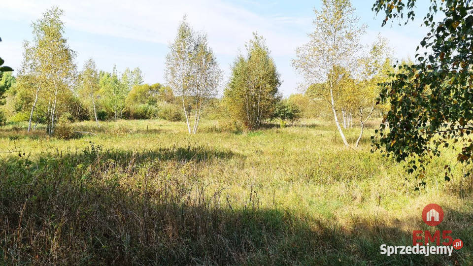 Działka na sprzedaż 5100m2 Ciasne