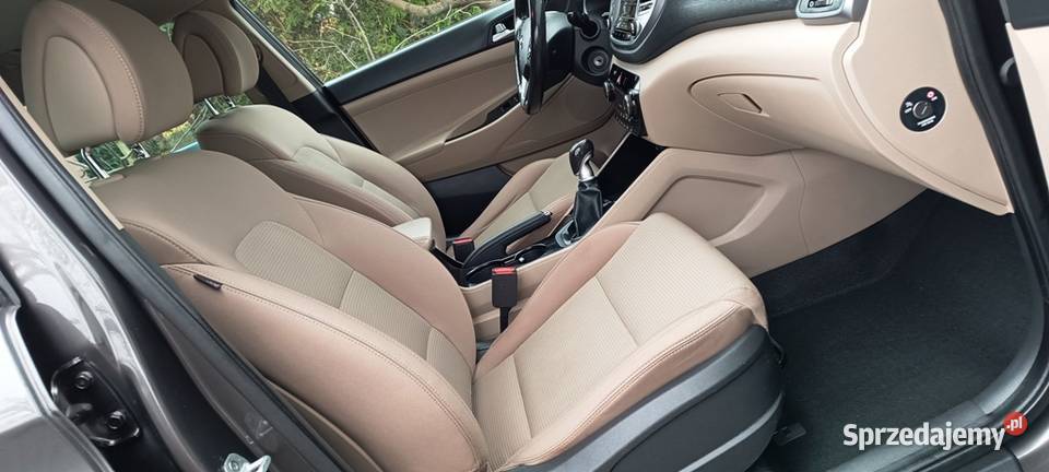 20 136 Pierwszy WłaścicielSalon Polska GRZANA isofix kujawsko-pomorskie Włocławek