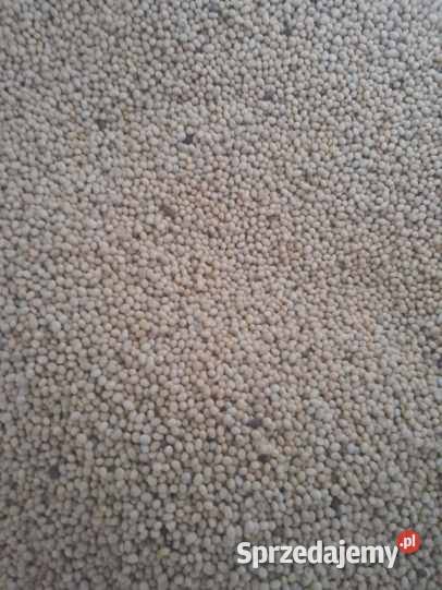 Soja Krasnystaw sprzedam