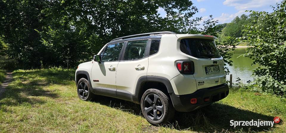 Jeep Renegade 2018 automat 24 trailhawk