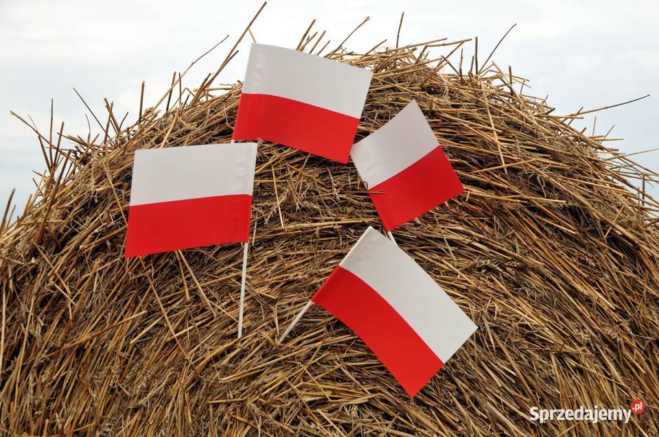 POLSKA chorągiewka biało czerwona Gdańsk