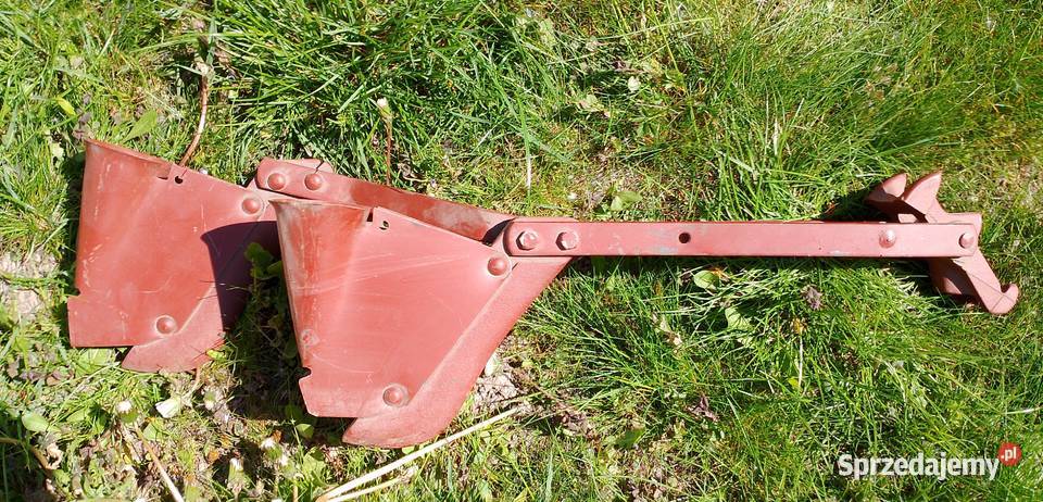 Redlica skrajna Lewa Siewnik Poznaniak 304334001 Tyczyn