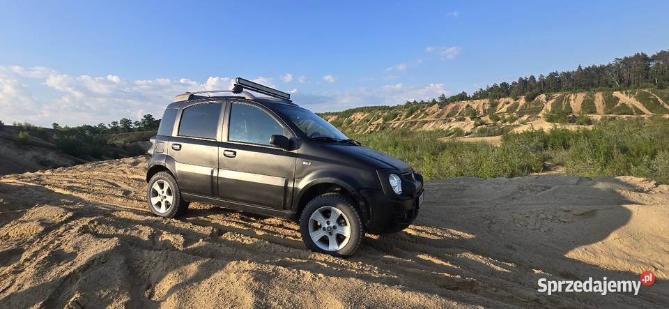 Panda 4x4 Cross Kępa Polska