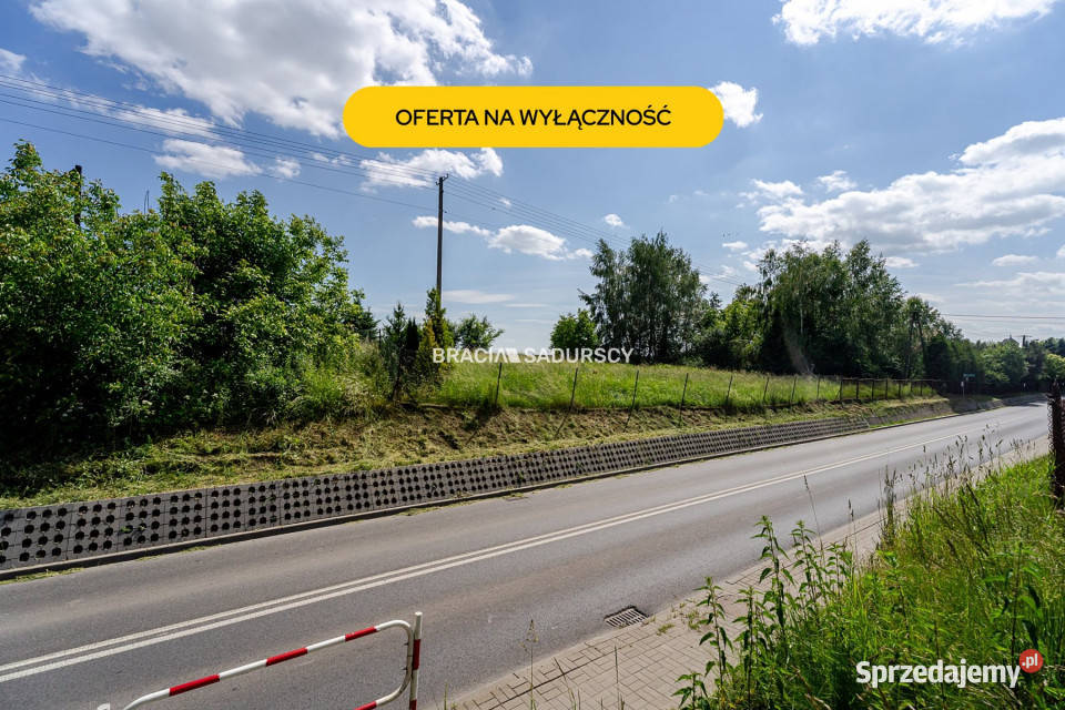 Działka Aleksandrowice 4600m2 Nieruchomości