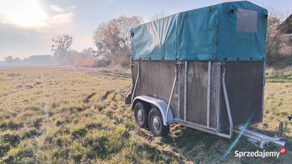 Przyczepa do przewozu koni niemiecka Oława