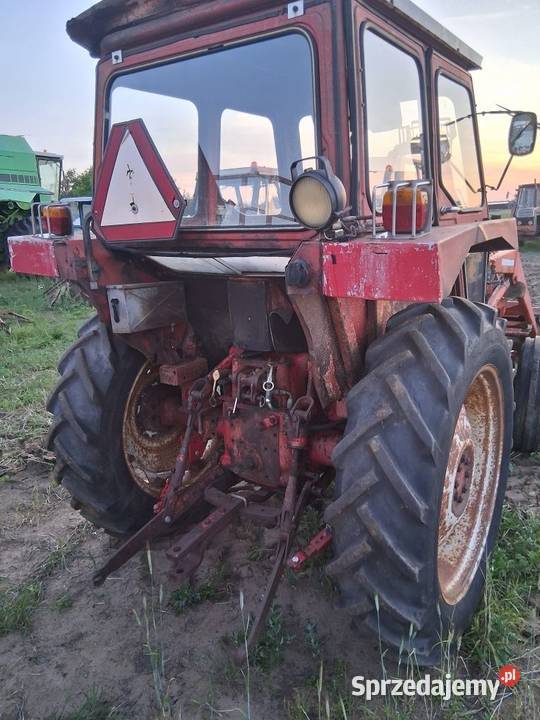 International Żelechów