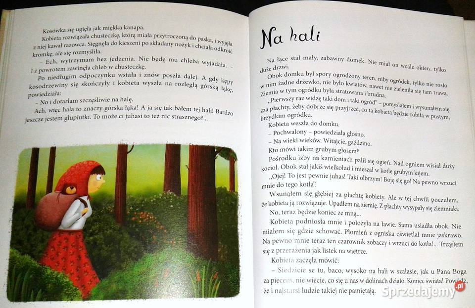 Pamiętnik Czarnego Noska Janina Porazińska Rok wydania 2022 Chełm