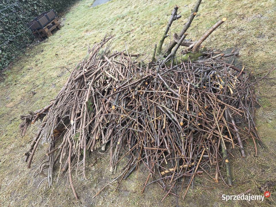 Drewno z czereśni dolnośląskie Trzebnica