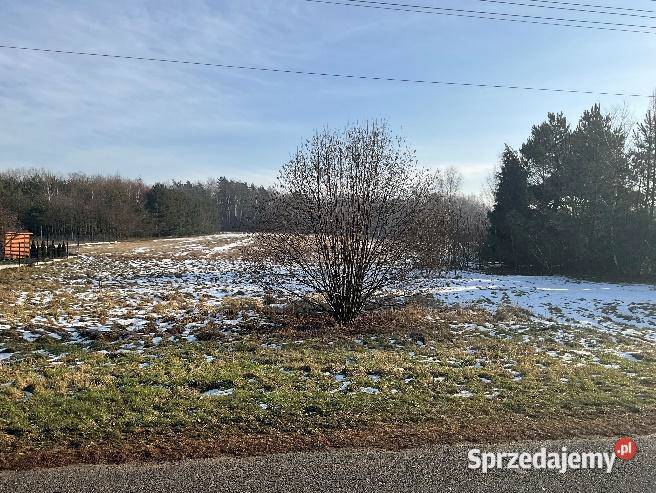 Syndyk sprzeda nieruchomość gruntową w m