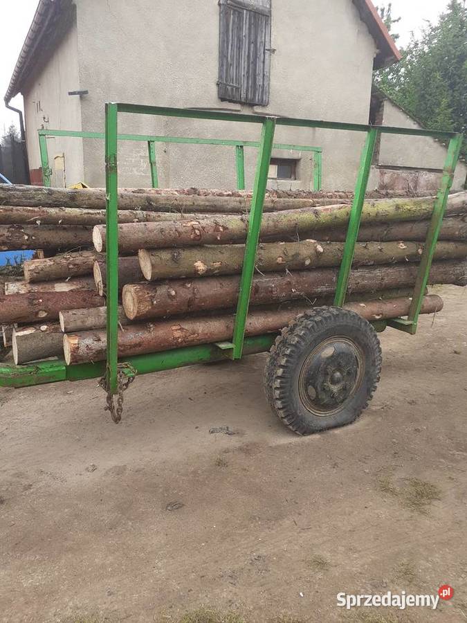 Żerdzie stemple świerk materiał na kantówki Jawor