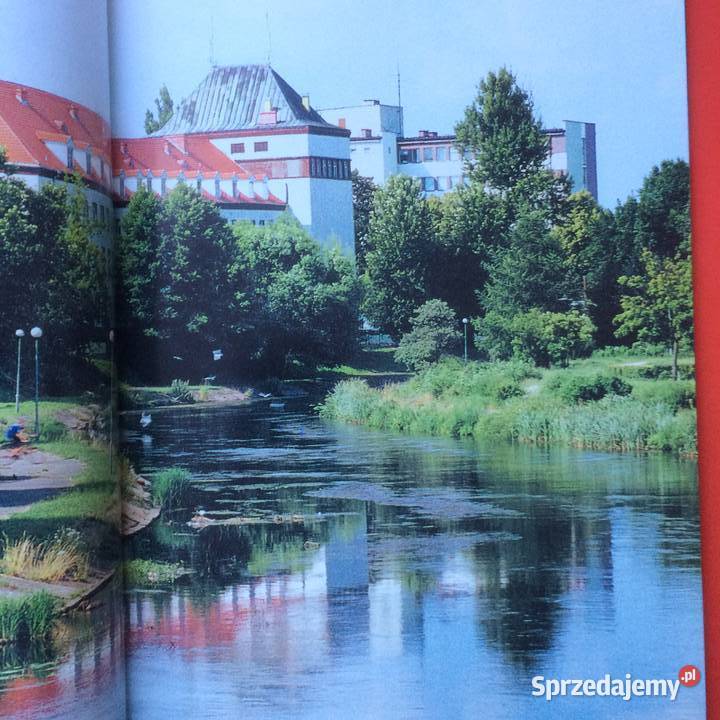 2585 Spacer Pile Szczecin sprzedam