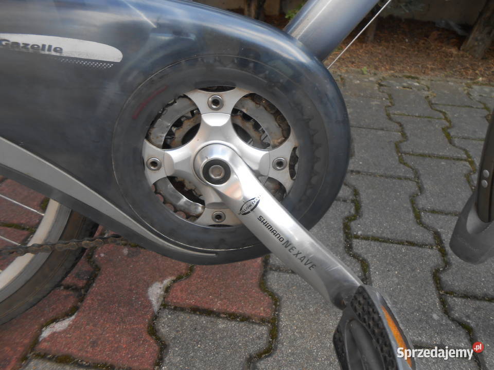 Rower holenderski Gazelle wielkopolskie Baranów