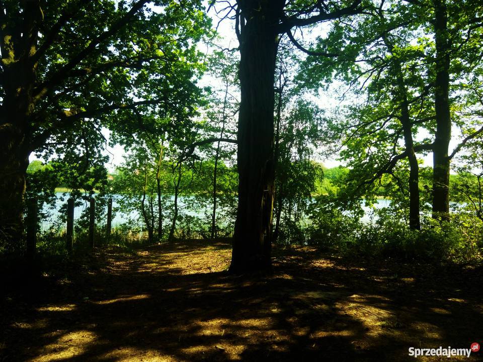 Działka leśna jeziorem w Starym Kramsku Stare Kramsko