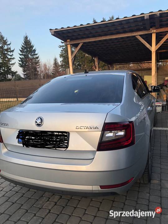 Skoda Octavia 2019r 1598cm3 Trzebiatów