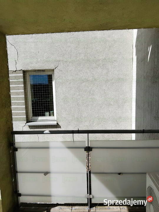 Założenie siatki na balkon przeciw ptakom Pozostałe usługi dla zwierząt