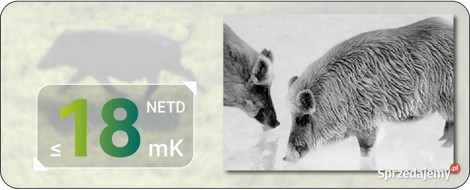 Luneta Termowizyjna Celownik Termowizyjny Pixfra Poznań