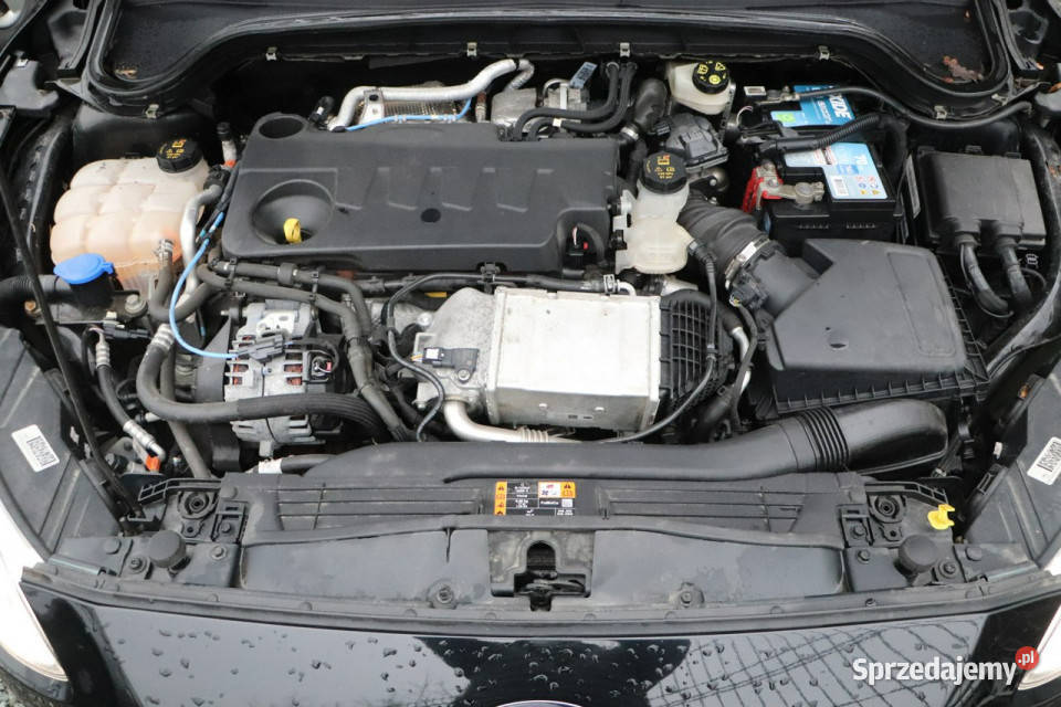 Ford Focus KRAJOWYserwiszarejestrowanyAUTOMAT tempomat opolskie Opole sprzedam