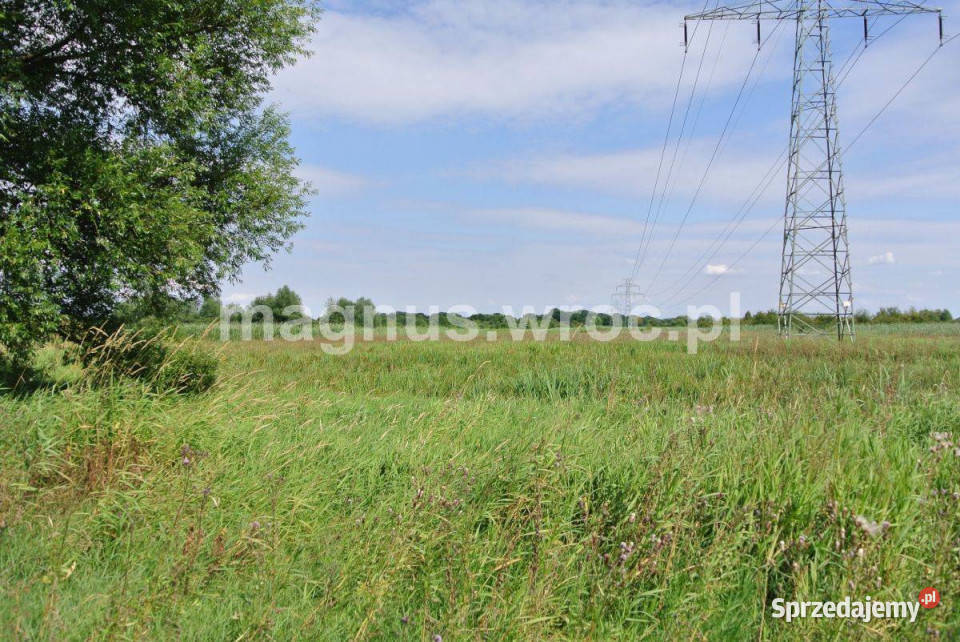 Działka rolna w sercu Wrocławia Widawą Kowale Wrocław