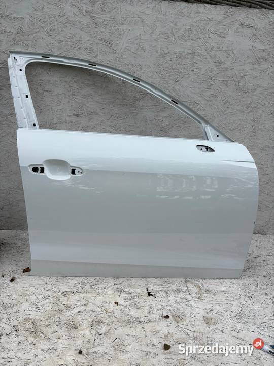AUDI A4 B9 8W 1620 DRZWI PRAWY PRZÓD 8W0831052 osobowe Jabłonna