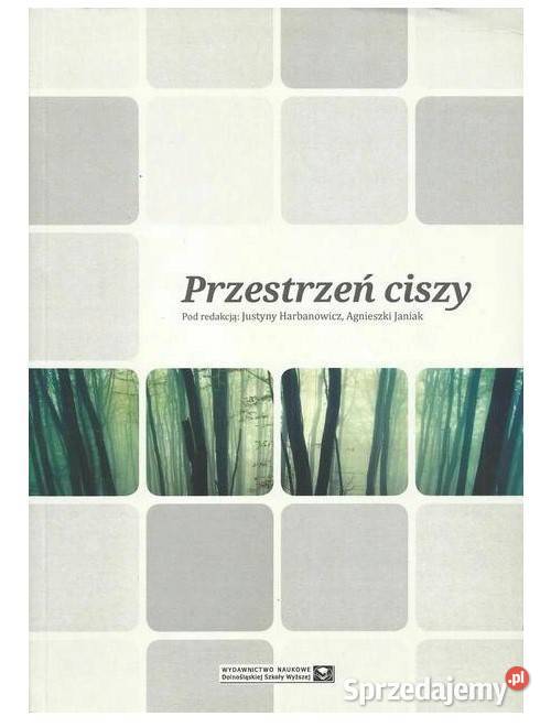 Przestrzeń ciszy Przestrzenie wizualne i Łódź