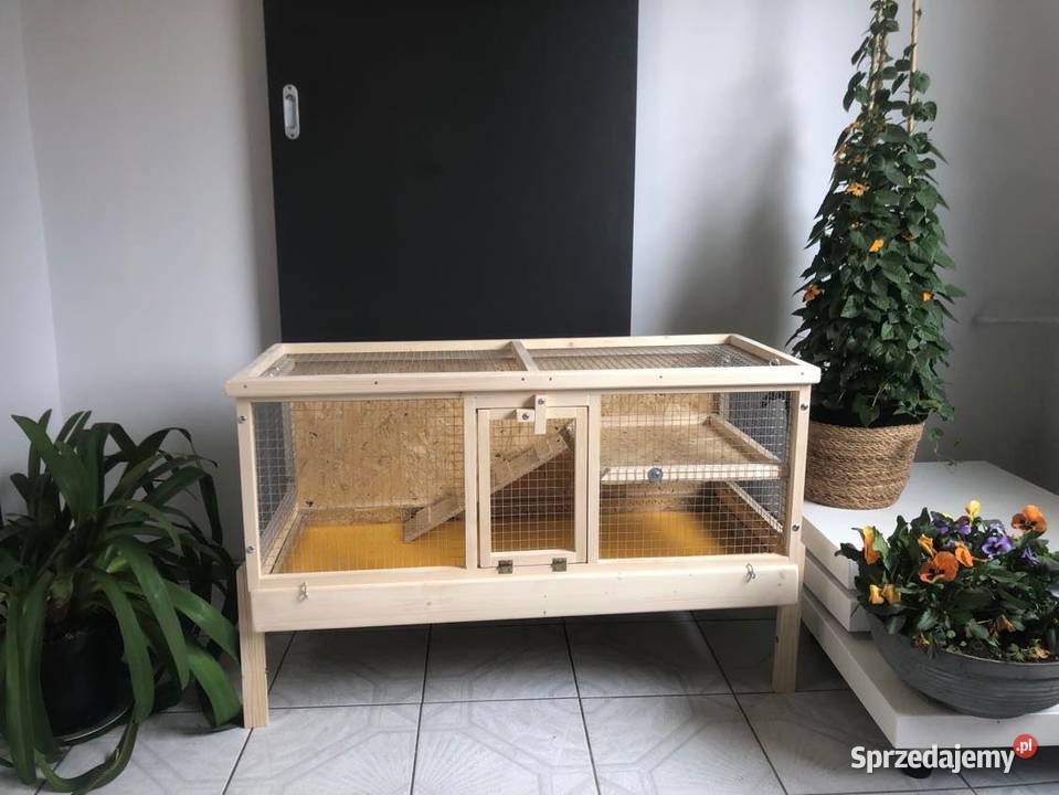 Klatka drewniana zagroda królika świnki morskiej Myszków