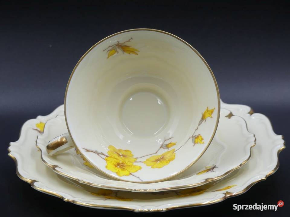 Komplet śniadaniowy Sorau Żary Forsycja stan Poznań