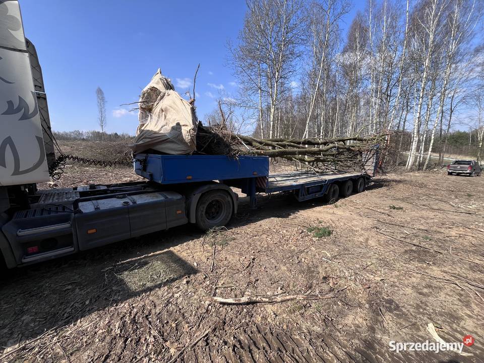 Transport maszyn budowlanych rolniczych itp Mikołów