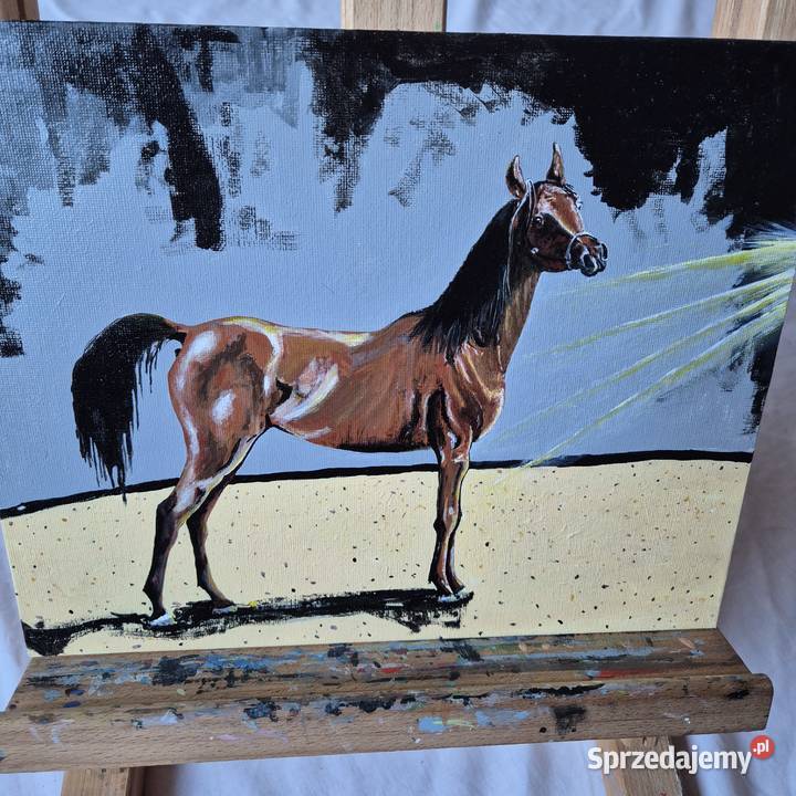 Obraz koń arabski arab stadnina białka Janów małopolskie Brzesko