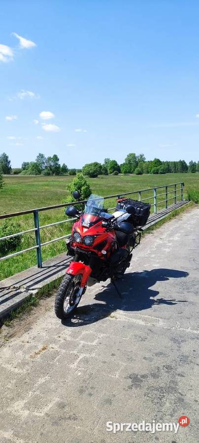 Triumph Tiger 955i 2004 Rok produkcji 2004 Tarnowskie Góry