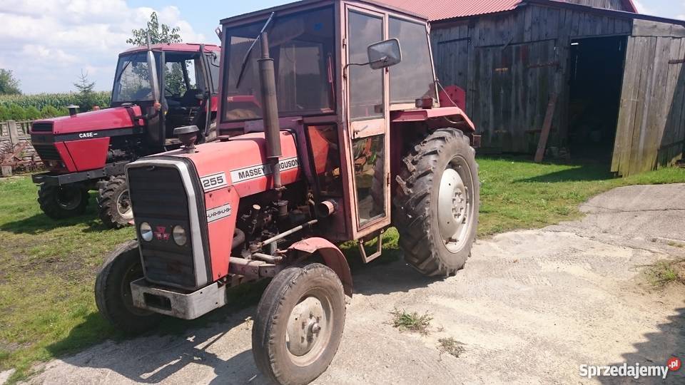 Massey Ferguson 255 Zamość sprzedam
