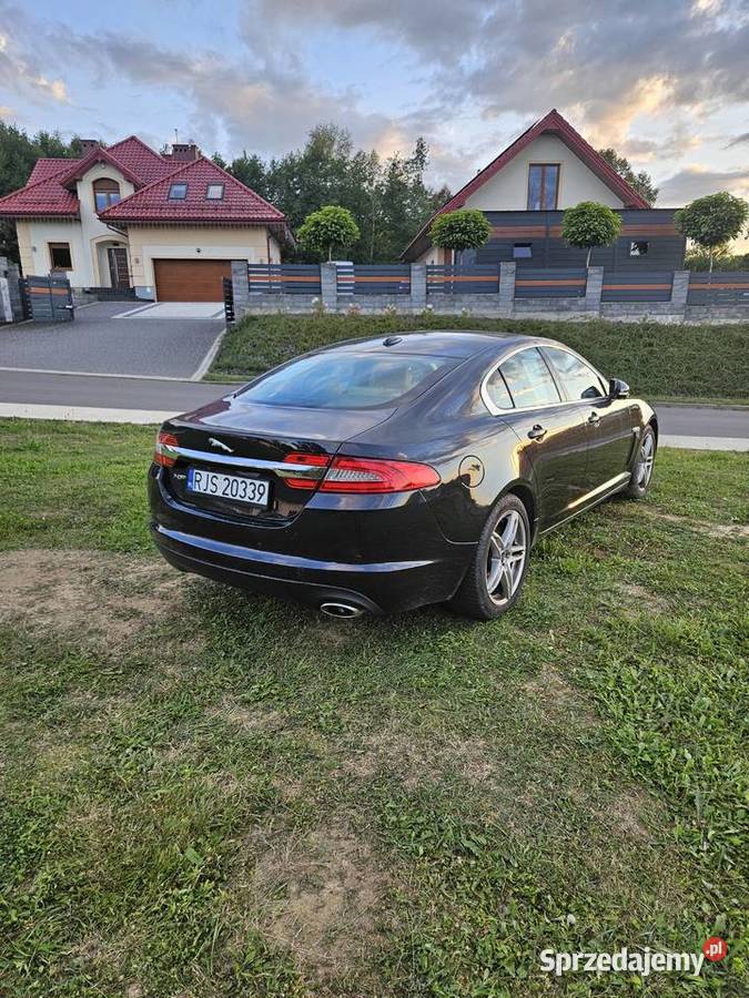 Jaguar XF 22D Trzcinica