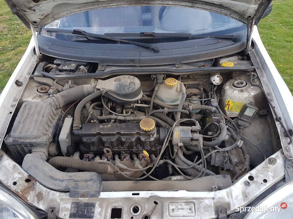 opelek biały Młyny sprzedam