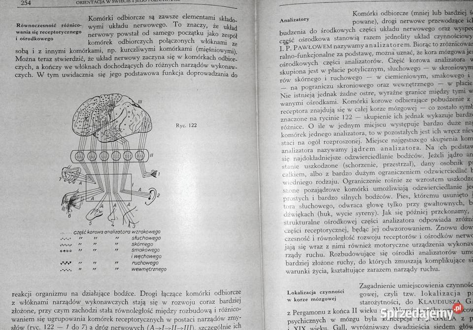 Psychologia Zarys podręcznikowy Tom Włodzimierz twarda Chełm