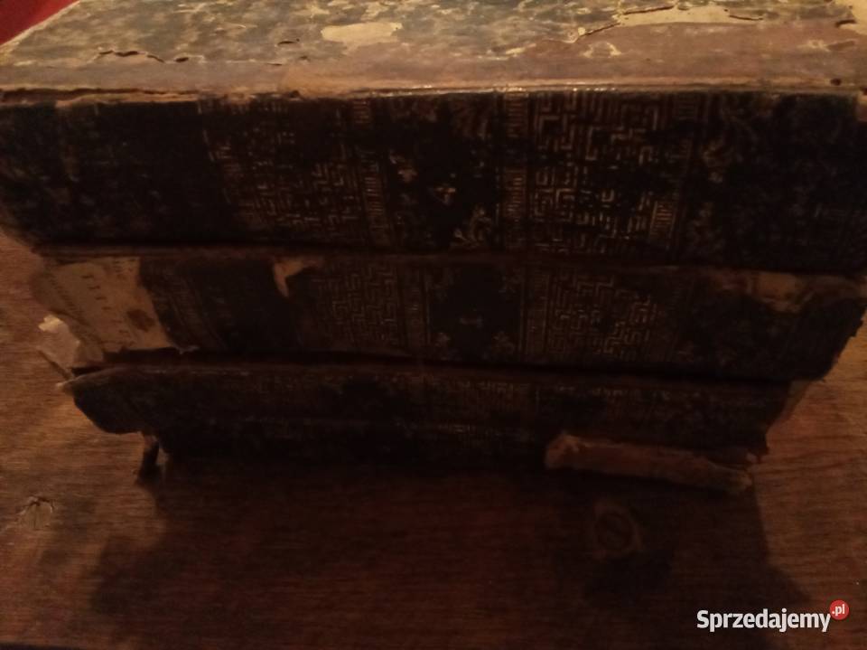 Nauki katolickie w sposób katechizmowy 1830 Cen
