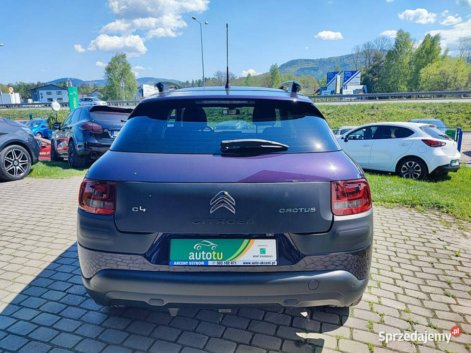 Citroen C4 Cactus Oryginalny lakier Książka elektryczne lusterka Ustroń