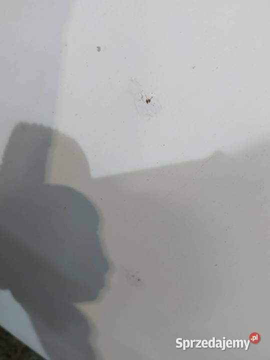 MASKA PRZÓD LIFT BIAŁA Opel Movano I 19972010 A świętokrzyskie