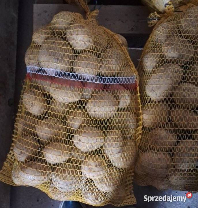 Ziemniaki 15 Irga białe duże ładne bez robaka i Warszawa